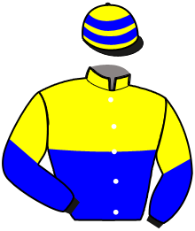 Casaque du n°10 — LOBELIE DE GODREL