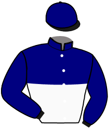 Casaque du n°4 — IAMOS DE CORBERY