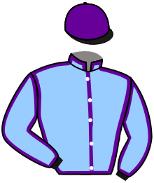 Casaque du n°4 — INVINCIBLE IRISH