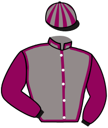 Casaque du n°8 — BRAGEIRO