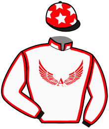 Casaque du n°2 — MATHOURA