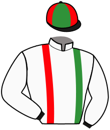 Casaque du n°3 — MOSEL