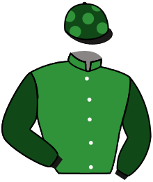 Casaque du n°4 — CITRUS SPRINGS