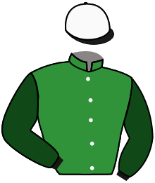 Casaque du n°6 — GREEN SPARKLE