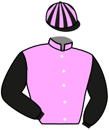 Casaque du n°2 — BIG GOSSEY