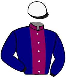 Casaque du n°4 — SANCTIJUDE