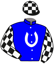 Casaque du n°1 — AL RIFFA