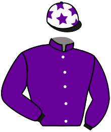 Casaque du n°2 — DALLAS STAR
