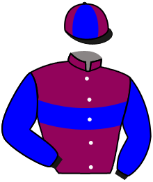 Casaque du n°6 — TENNESSEE STUD
