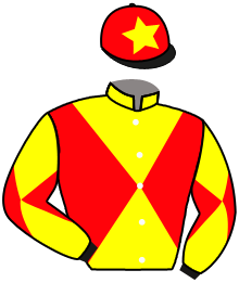 Casaque du n°1 — LARS SOLDIER