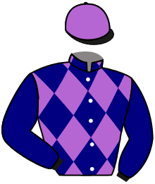 Casaque du n°1 — WELYKA