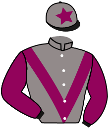 Casaque du n°3 — AUENWALD
