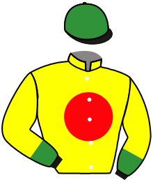 Casaque du n°2 — PELLEGRINO