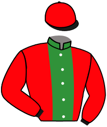 Casaque du n°4 — ARZYS