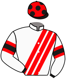 Casaque du n°2 — WALDNEBEL