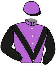 Casaque du n°3 — ARCHIE