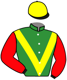 Casaque du n°5 — NASTARIA
