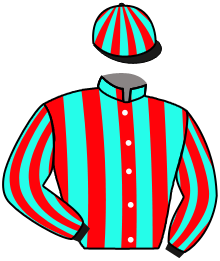 Casaque du n°2 — MARIANO