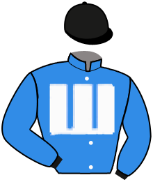 Casaque du n°3 — ROSENFLUEGEL