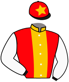 Casaque du n°5 — IRAM