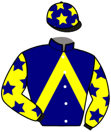 Casaque du n°10 — LELOUP VALLEE