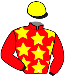 Casaque du n°4 — LISTAO