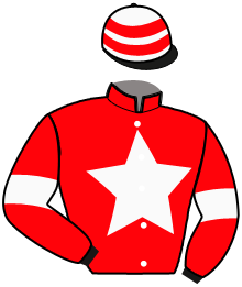 Casaque du n°2 — JERICO BADREC