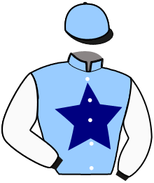 Casaque du n°3 — LEGENDE D'OURVILLE