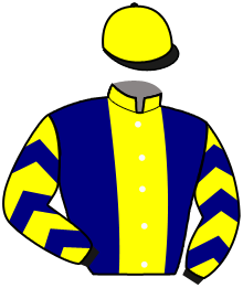 Casaque du n°4 — NOBLESSE DE BLARY