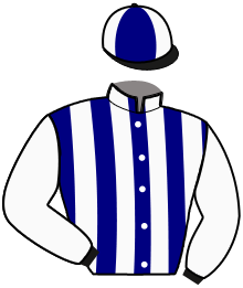 Casaque du n°10 — KASIMODO