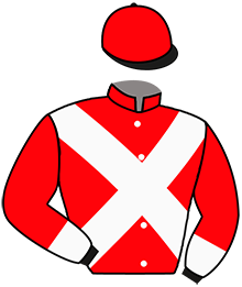 Casaque du n°10 — TOSCANA LAW