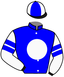 Casaque du n°2 — BLUEMIGLIA