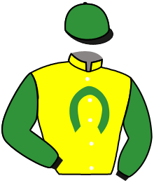 Casaque du n°2 — ESPLENDOR ZUN