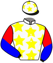 Casaque du n°4 — ESE GUERRERO