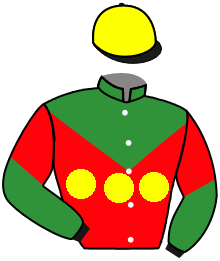 Casaque du n°5 — NIPON