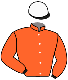 Casaque du n°5 — SALSA ZUN