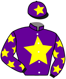Casaque du n°2 — LA FIERA