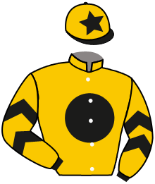 Casaque du n°2 — DIONISO