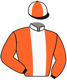 Casaque du n°3 — JACK VILLA