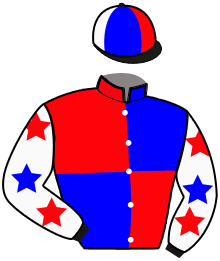Casaque du n°3 — MARUJO