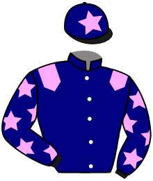 Casaque du n°1 — HUNION DELABLAIRIE