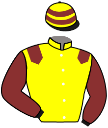 Casaque du n°8 — NUGHAYA FAL