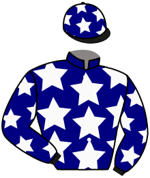 Casaque du n°14 — JOAO