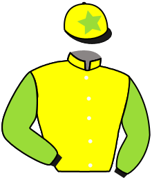 Casaque du n°2 — NIKULYA FAL