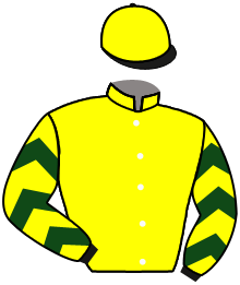 Casaque du n°5 — BOAVISTA