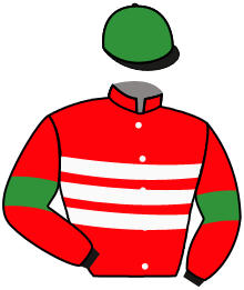 Casaque du n°9 — QUELLA