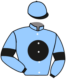 Casaque du n°10 — PRINCESS ALICE