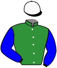 Casaque du n°7 — ROI DU CIEL