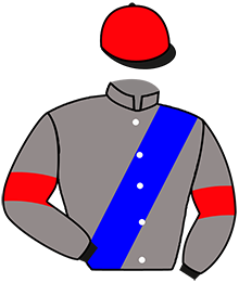 Casaque du n°6 — STEELHAMMER