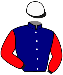 Casaque du n°8 — COCCO BFC